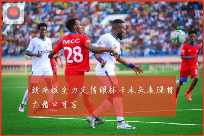 新老板全力支持佩林卡未来表现将无借口可言