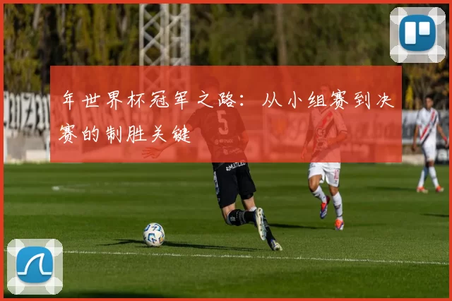 年世界杯冠军之路：从小组赛到决赛的制胜关键