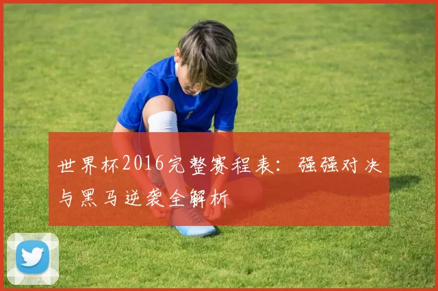 世界杯2016完整赛程表：强强对决与黑马逆袭全解析