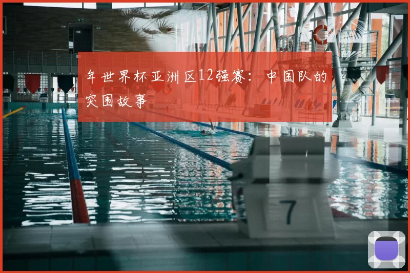 年世界杯亚洲区12强赛：中国队的突围故事
