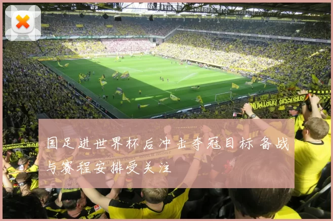 国足进世界杯后冲击夺冠目标 备战与赛程安排受关注