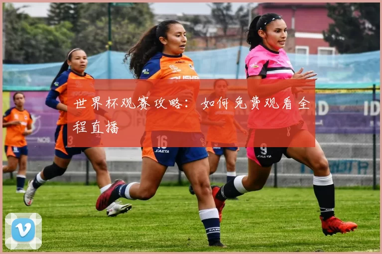 世界杯观赛攻略：如何免费观看全程直播