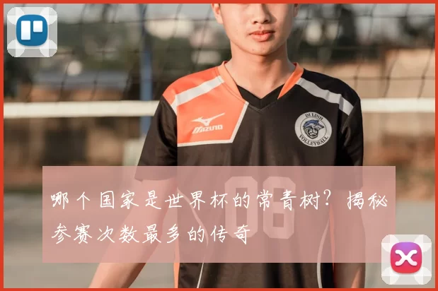 哪个国家是世界杯的常青树？揭秘参赛次数最多的传奇
