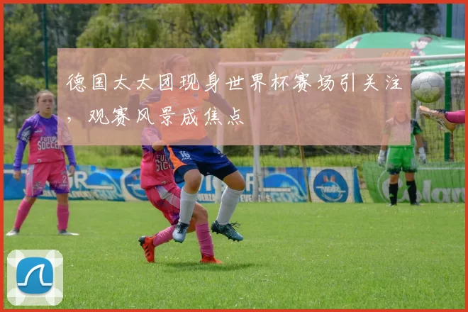 德国太太团现身世界杯赛场引关注,观赛风景成焦点