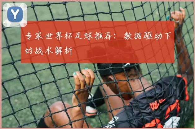 专家世界杯足球推荐：数据驱动下的战术解析