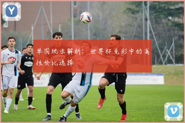 单固玩法解析：世界杯竞彩中的高性价比选择