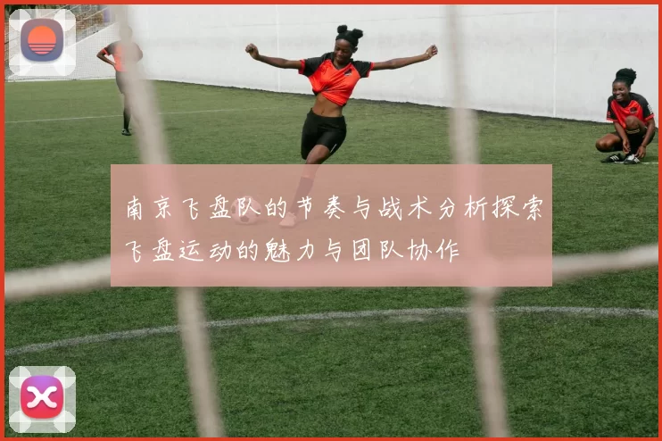 南京飞盘队的节奏与战术分析探索飞盘运动的魅力与团队协作