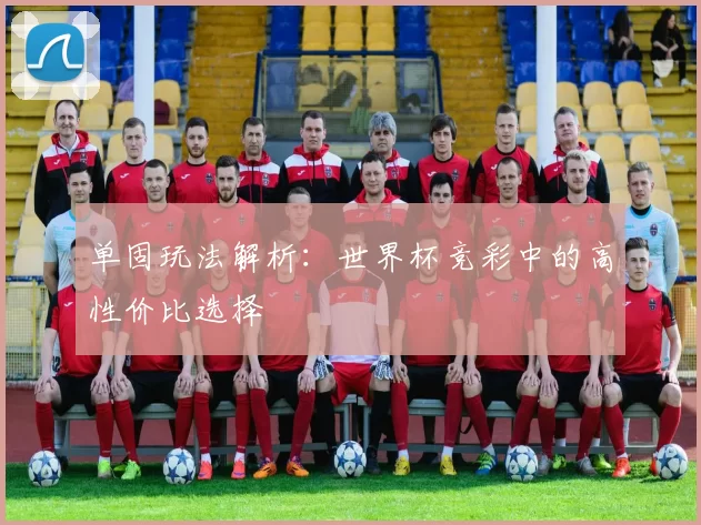 单固玩法解析：世界杯竞彩中的高性价比选择