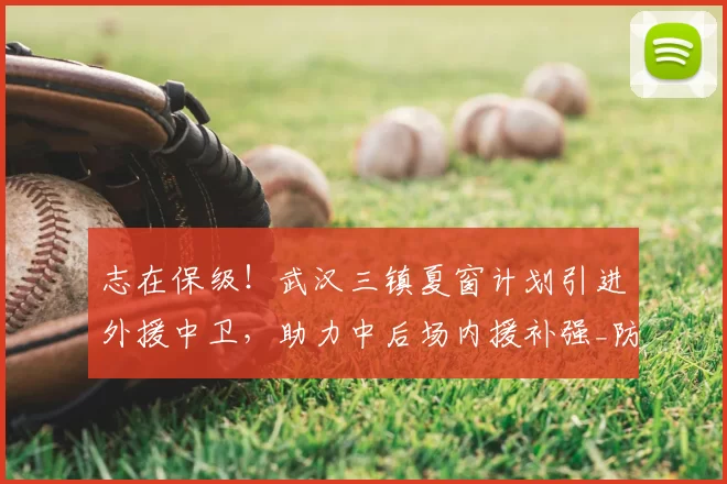 志在保级！武汉三镇夏窗计划引进外援中卫，助力中后场内援补强_防守_防线_中超