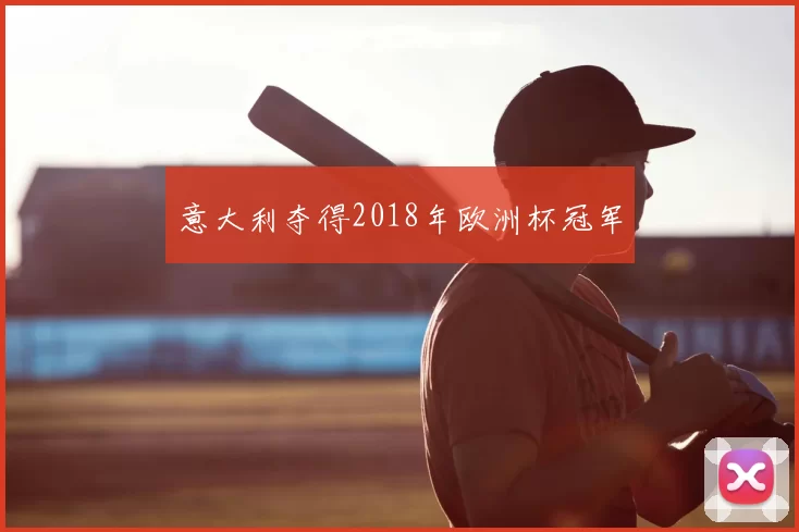 意大利夺得2018年欧洲杯冠军