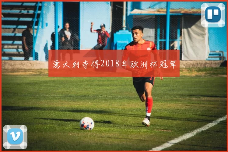 意大利夺得2018年欧洲杯冠军